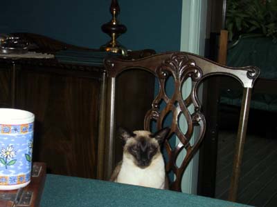 IMG_0030